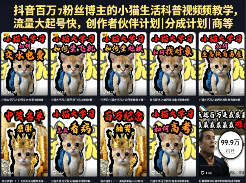 抖音百万粉丝博主的小猫生活科普视频教学,流量大起号快,创作者伙伴计划|分成计划|商单|收徒等-雨航网
