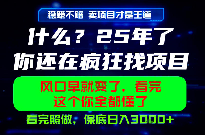 26年,请不要疯狂的找项目做了!卖项目才是真的稳賺不赔,看完照做,保底日入1k+【揭秘】-雨航网