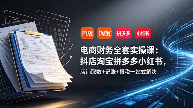 电商财务全套实操课：抖店淘宝拼多多小红书，店铺取数+记账+报税一站式解决-雨航网