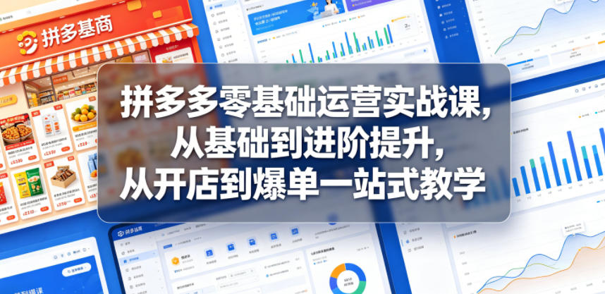拼多多零基础运营实战课，从基础到进阶提升，从开店到爆单一站式教学-雨航网
