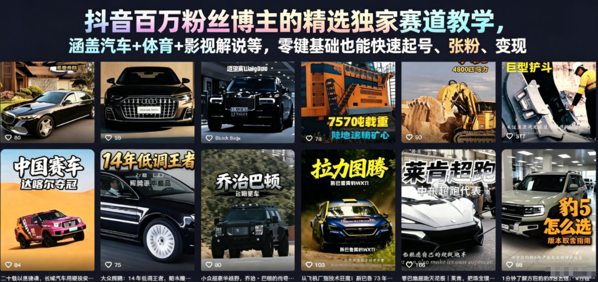 抖音百万粉丝博主的精选独家赛道教学，涵盖汽车+体育+影视解说等，零基础也能快速起号、涨粉、变现-雨航网