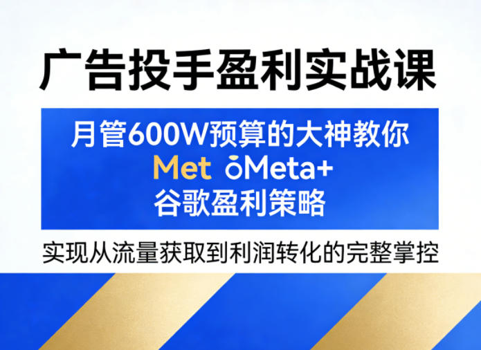 广告投手盈利实战课，月管600W预算的大神教你Meta+谷歌盈利策略，实现从流量获取到利润转化的完整掌控-雨航网