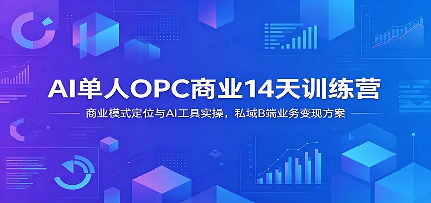 AI单人OPC商业14天训练营：商业模式定位与AI工具实操，私域B端业务变现方案-雨航网