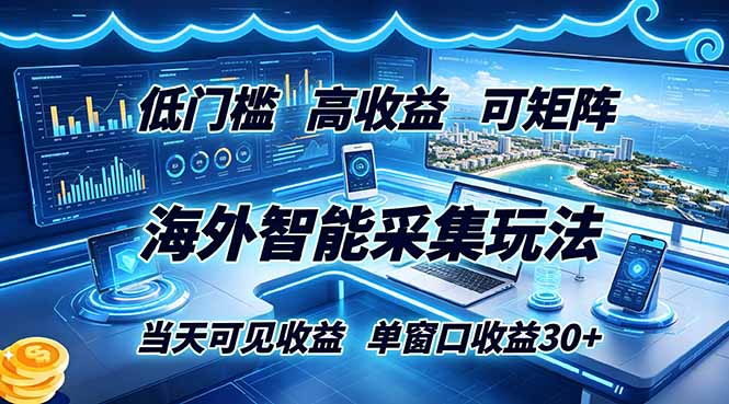 海外智能采集玩法，低门槛高单价可矩阵，当天可见收益，单窗口30+-雨航网