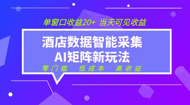 2026酒店数据采集ai智能矩阵新风口 低成本 高收益 当天见收益 单窗口20+-雨航网