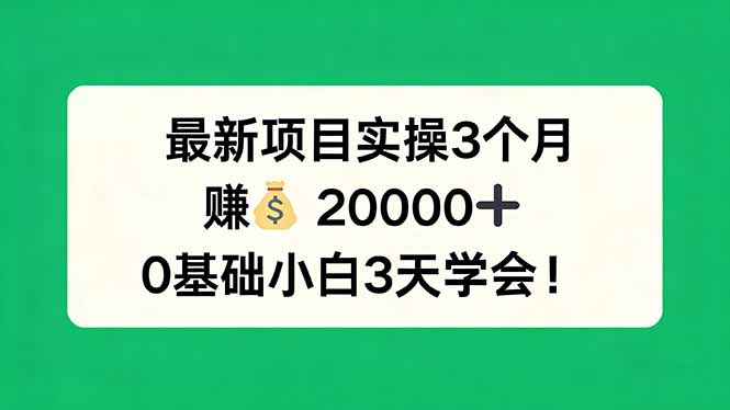 最新项目实操3个月，赚钱20000+，0基础小白3天学会！-雨航网