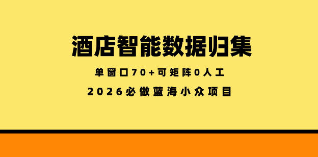 酒店智能数据归集，小众蓝海已经稳定半年之久，单窗口70+零成本矩阵开干【揭秘】-雨航网