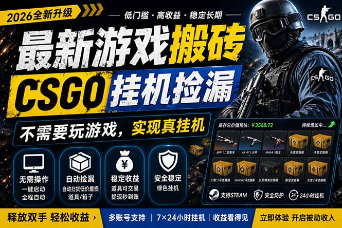 最新游戏搬砖，CSGO纯挂机，不需要玩游戏，实现真挂机，月入1W+，五一小高峰上车可吃肉，…-雨航网