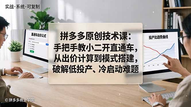 拼多多原创技术课：手把手教小二开直通车，从出价计算到模式搭建，破解低投产、冷启动难题-雨航网